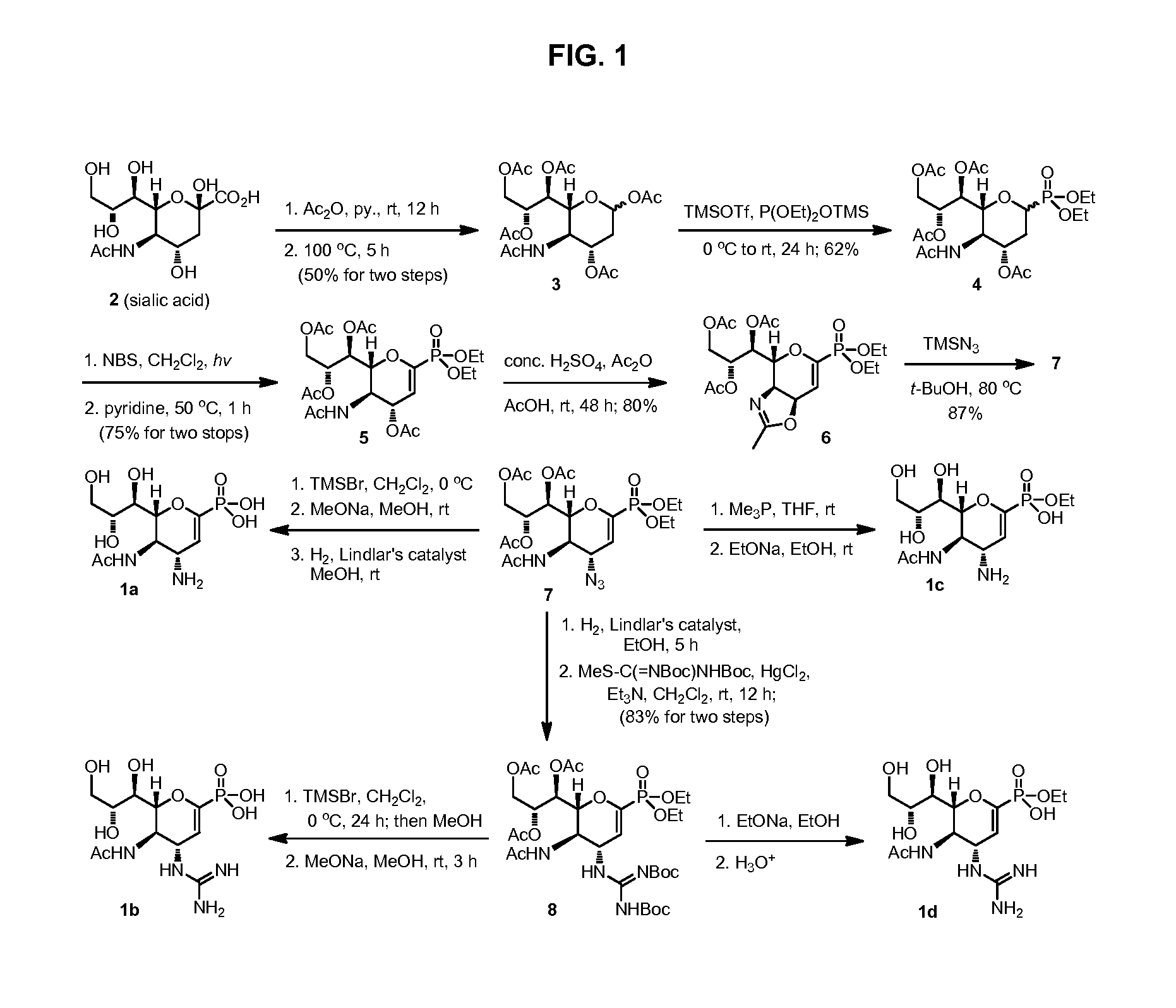 Zanamivir phosphonate congeners with Anti-influenza activity and determining oseltamivir susceptibility of influenza viruses