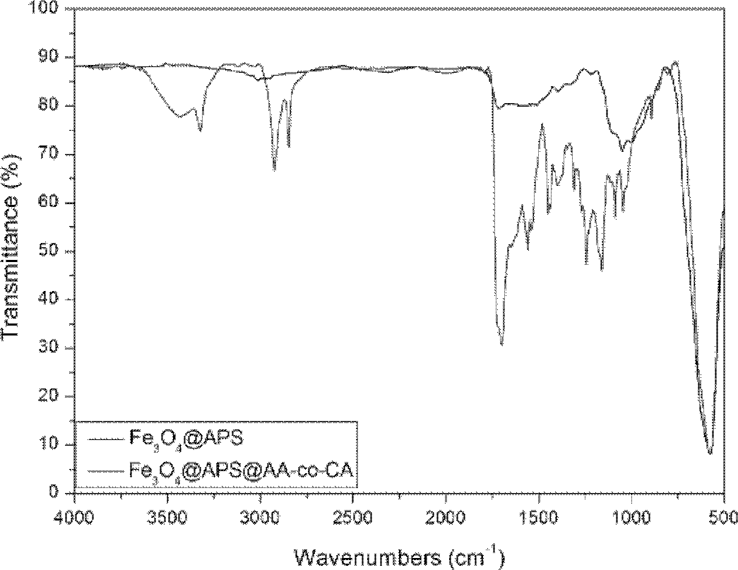 Crotonic acid and acrylic acid copolymer modified ferroferric oxide nano granules with silicon structure as well as preparation and application thereof