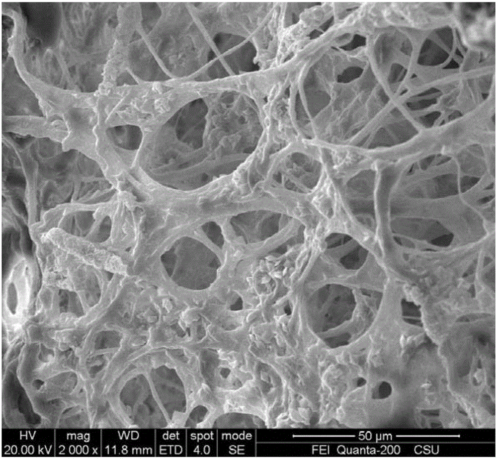 Photocatalysis bio-adsorbent and preparing method and application thereof