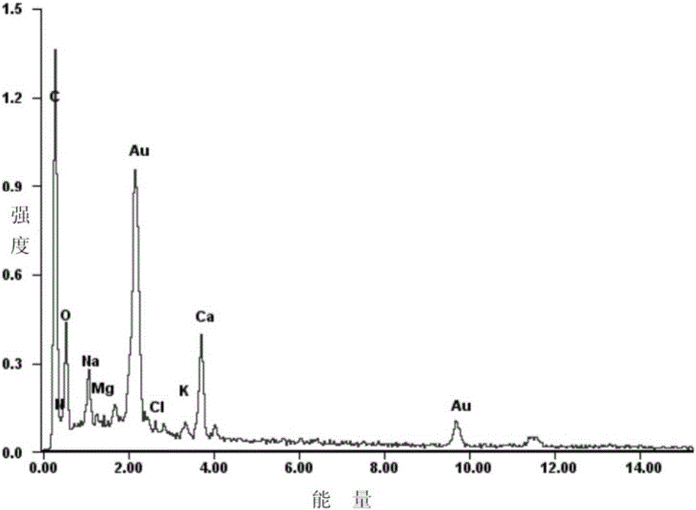 Photocatalysis bio-adsorbent and preparing method and application thereof