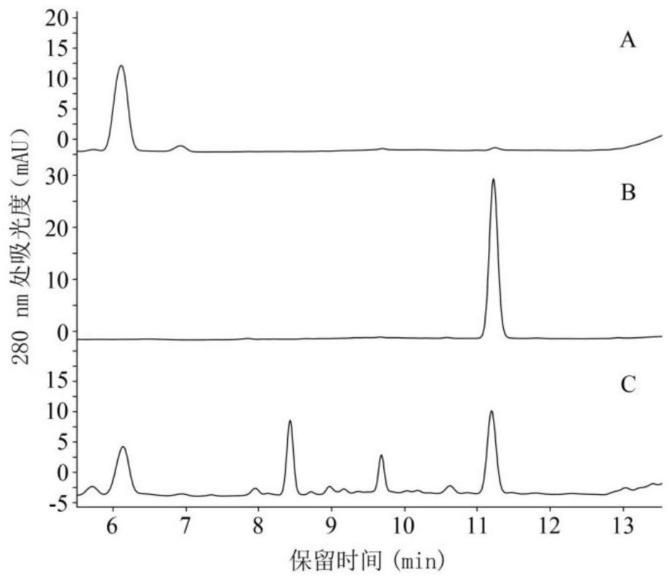 Naringenin in-vitro enzymatic synthesis method based on malonyl coenzyme A regeneration