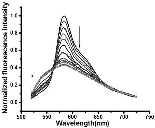 Rate type difunctional fluorescence molecular probe for detecting HSO4- ions, SO2 and derivatives thereof