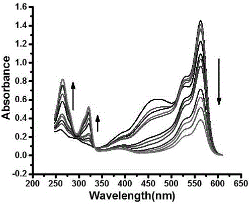 Rate type difunctional fluorescence molecular probe for detecting HSO4- ions, SO2 and derivatives thereof