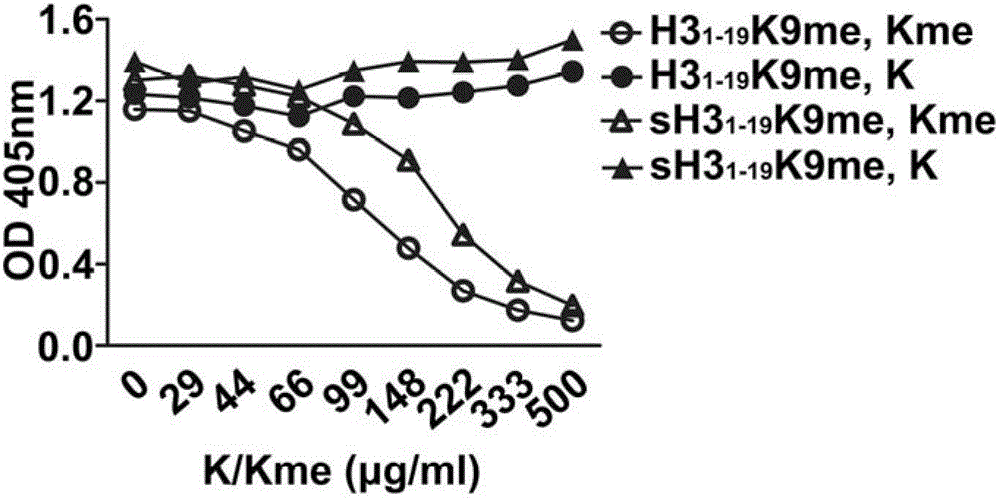 Application of antigen containing 6-N-methyllysine residue in preparation of reagents for auxiliary diagnosis of systemic lupus erythematosus