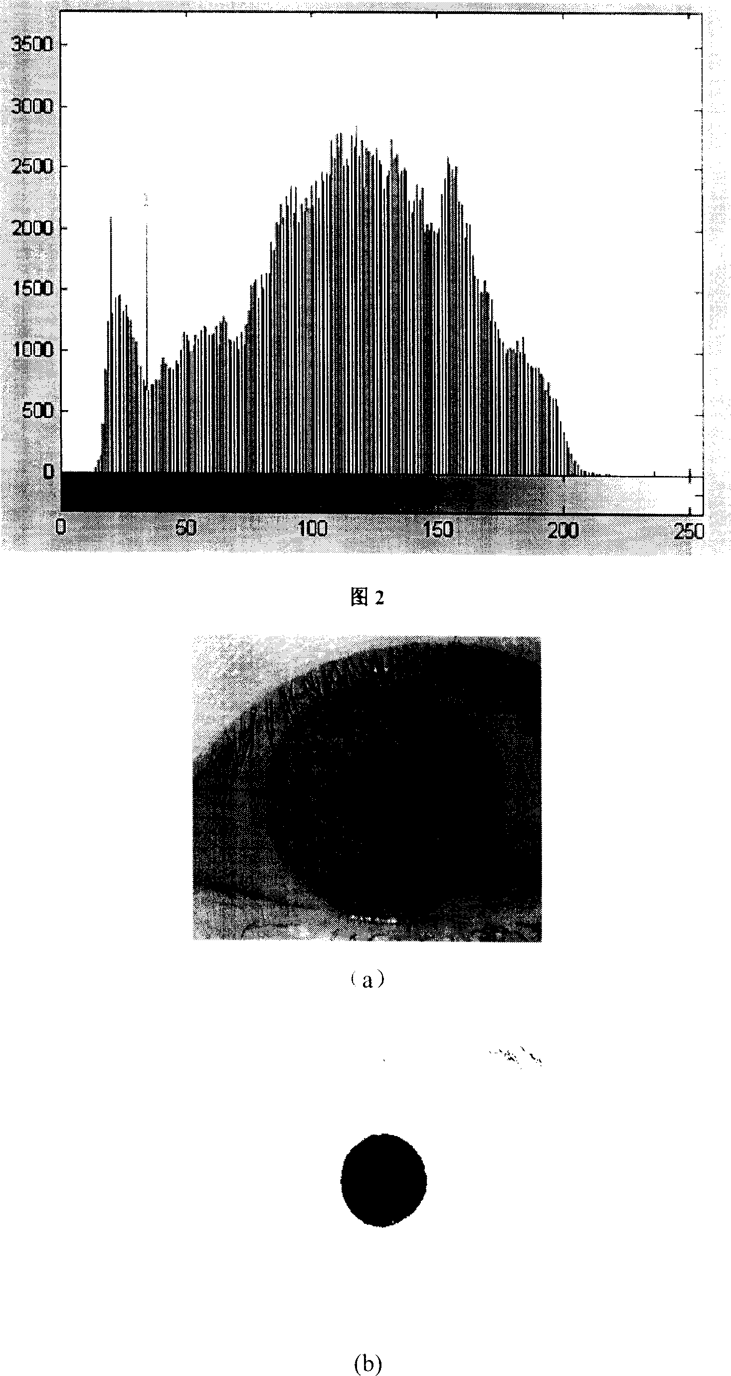 Method for identifying iris based on zero crossing indication of wavelet transforms