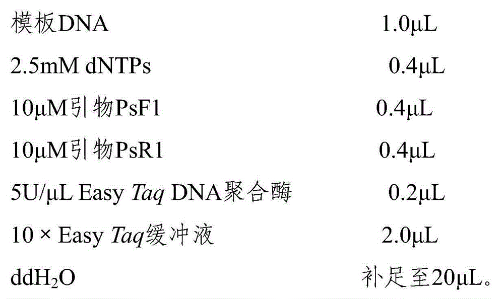 Specific COI primers for peristenus spretus Chen&van Achterberg, kit containing same and application of primers and kit