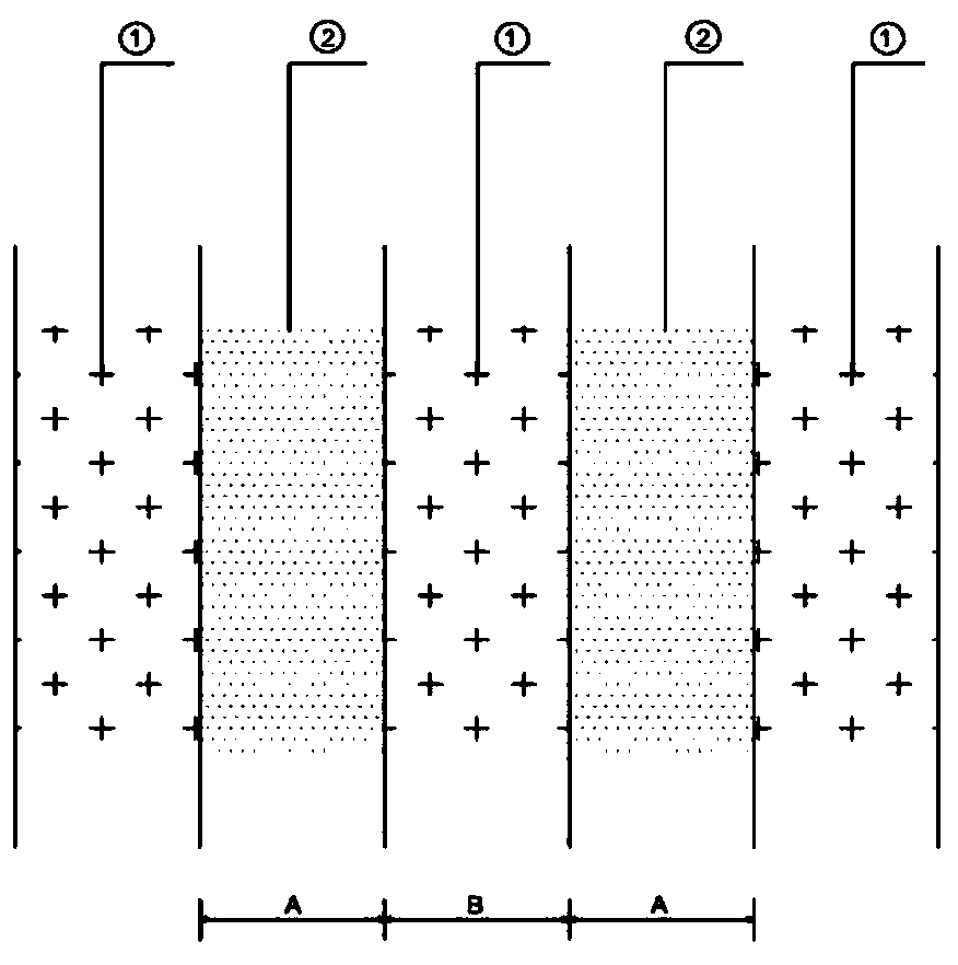 Vegetation planting method in windy and sandy areas