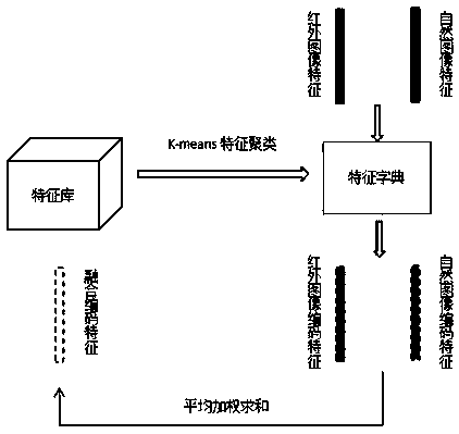 dual-light image fusion model based on a depth convolution antagonism generation network DCGAN