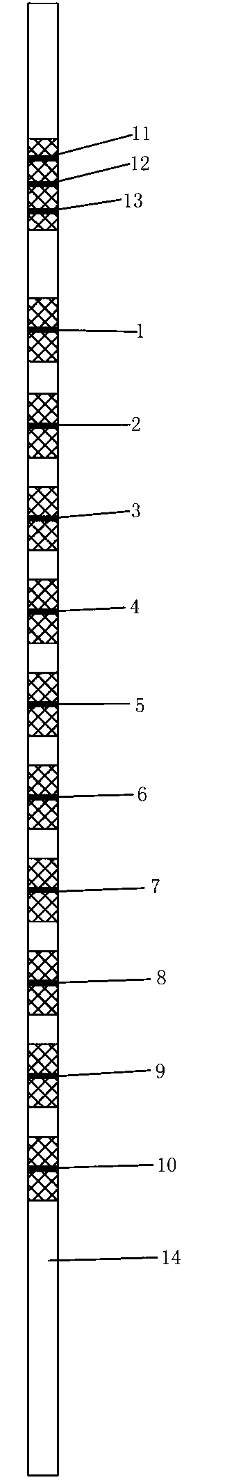 Western blot kit for detecting antibody of autoimmune disease and preparation method thereof