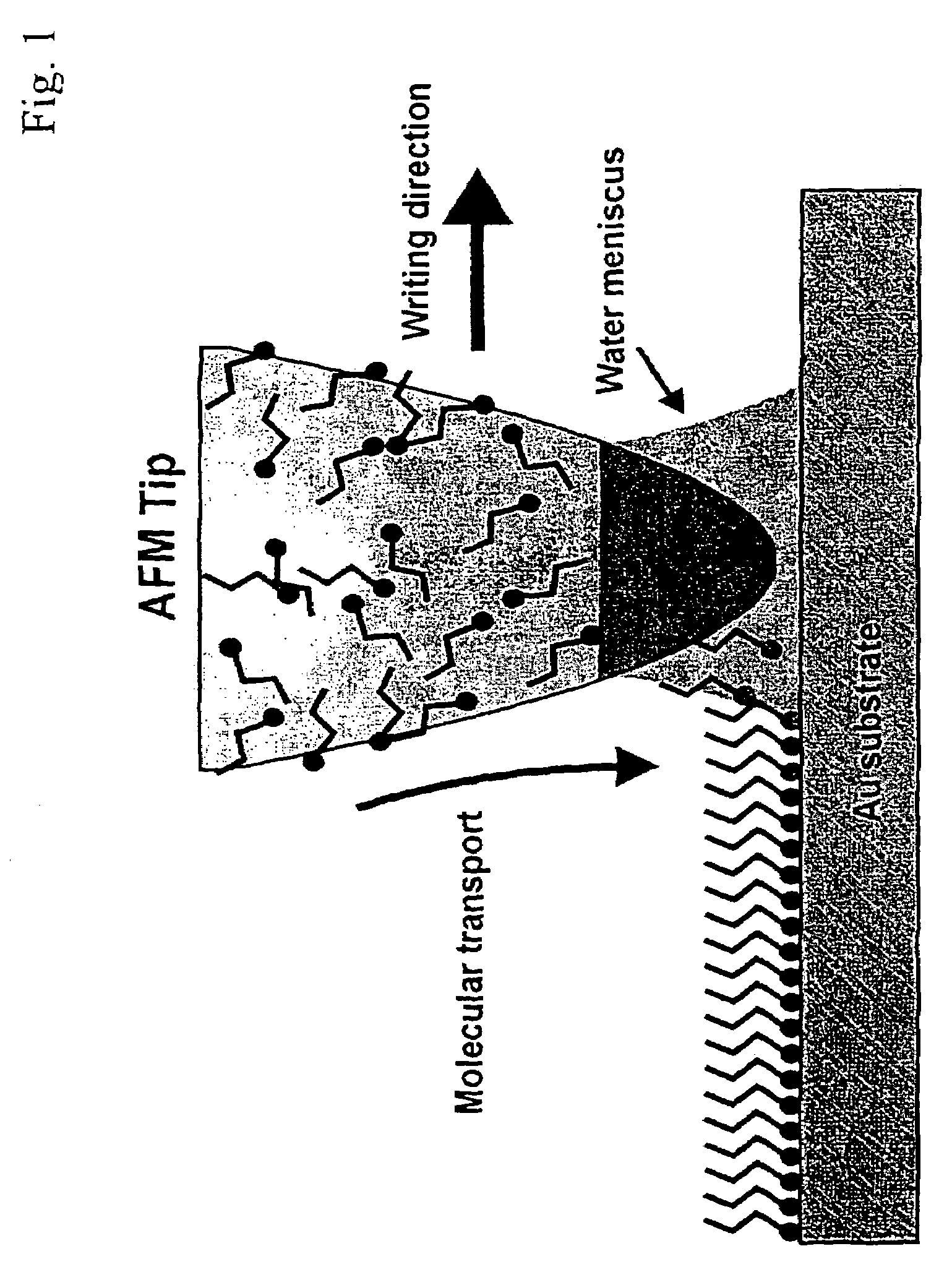 Methods utilizing scanning probe microscope tips and products therefor or produced thereby