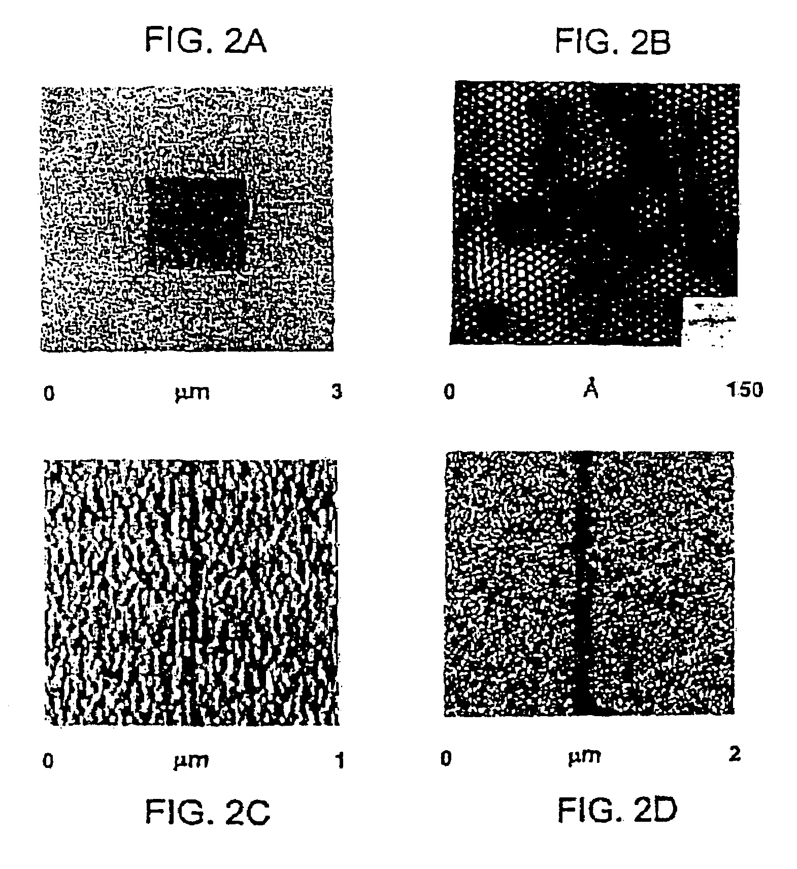 Methods utilizing scanning probe microscope tips and products therefor or produced thereby