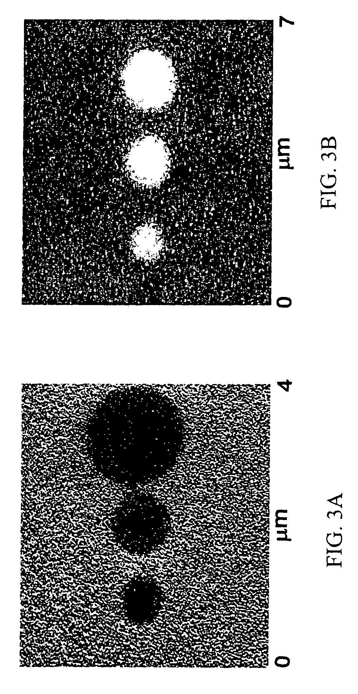 Methods utilizing scanning probe microscope tips and products therefor or produced thereby