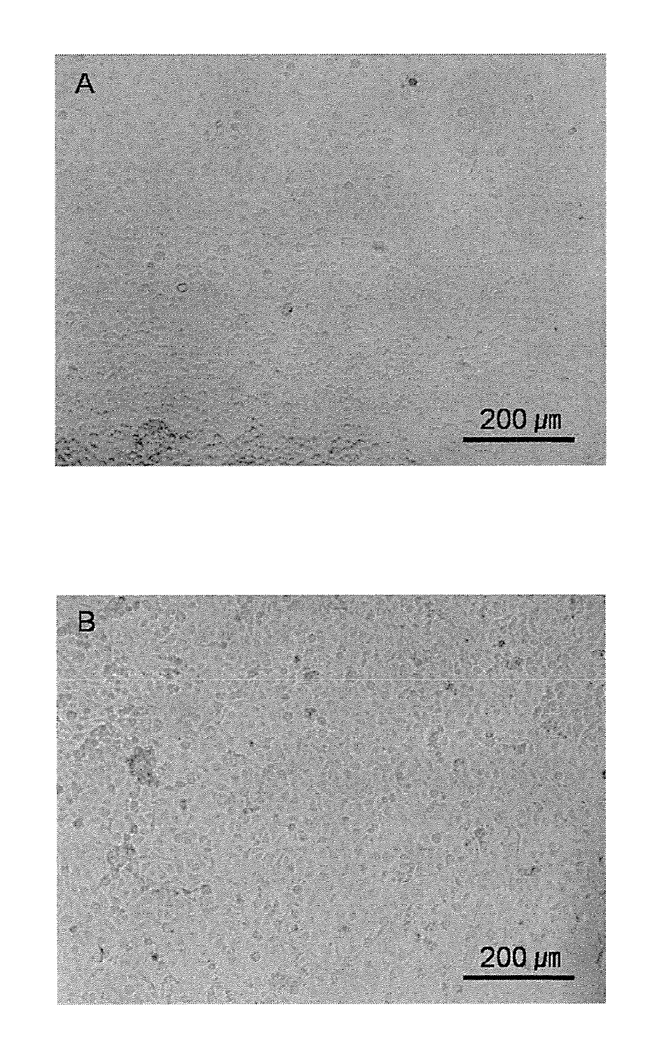 Crosslinked Hydrogels and Related Method of Preparation