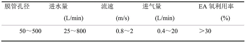 Micro-nano bubble generation device and sewage purification system