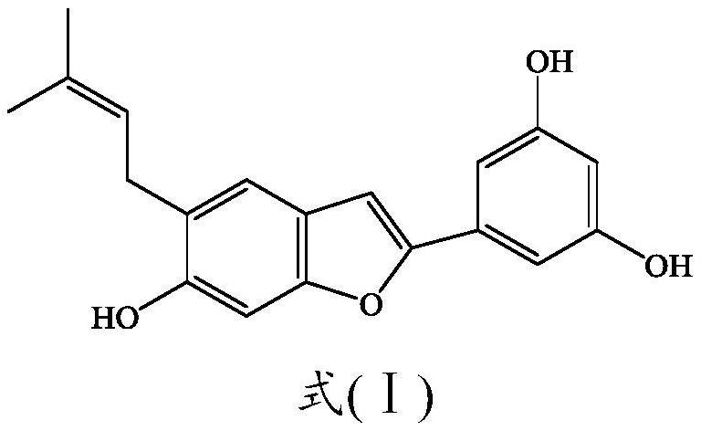 Application of morusin N in preparation of product for preventing and treating ferroptosis-related diseases