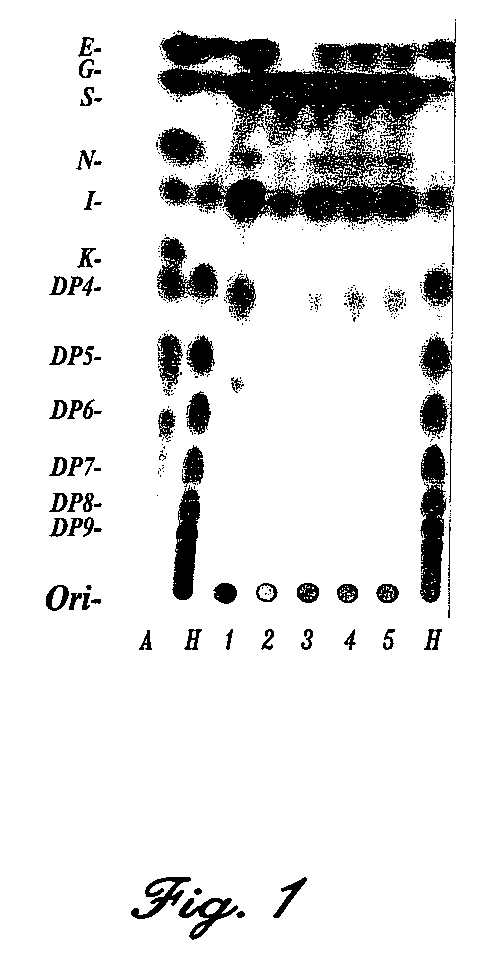 Production of oligosaccharides in transgenic plants