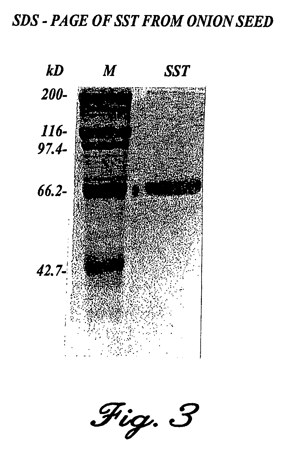 Production of oligosaccharides in transgenic plants