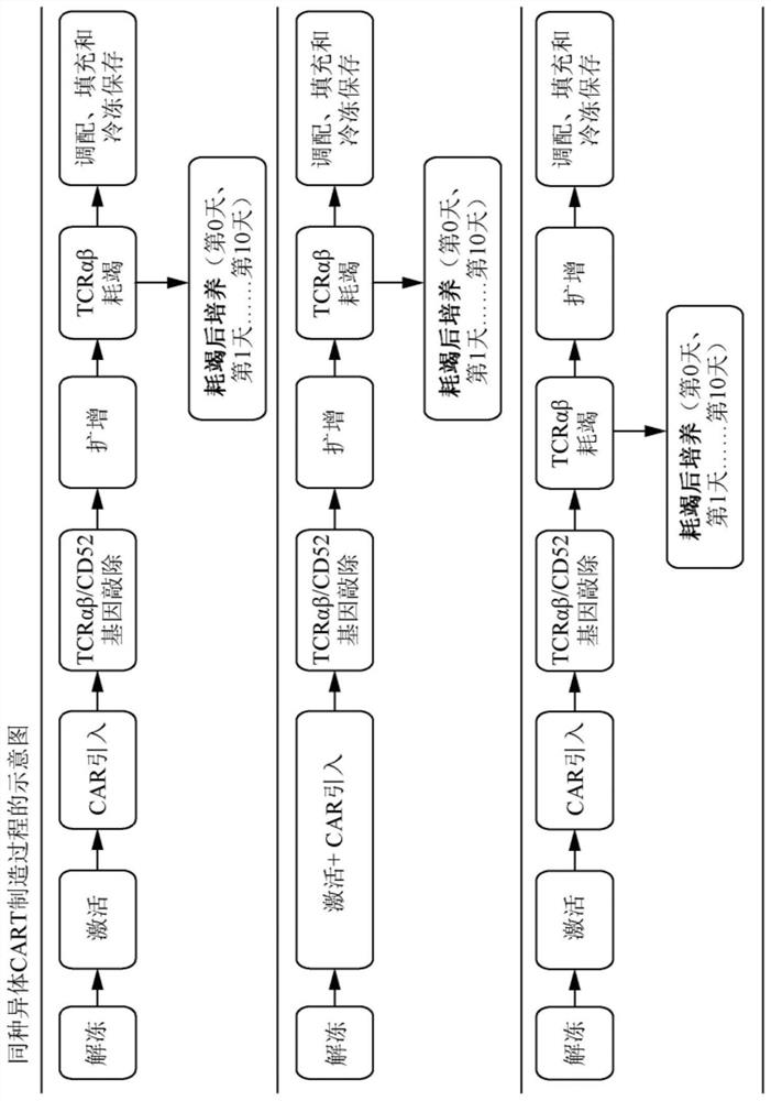 METHODS FOR ENHANCING TCR[alpha][beta]+ CELL DEPLETION EFFICIENCY