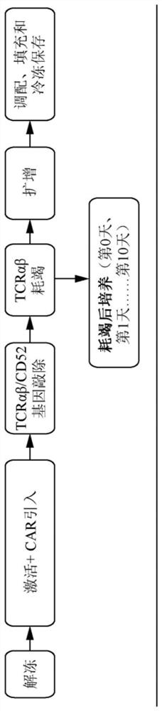 METHODS FOR ENHANCING TCR[alpha][beta]+ CELL DEPLETION EFFICIENCY