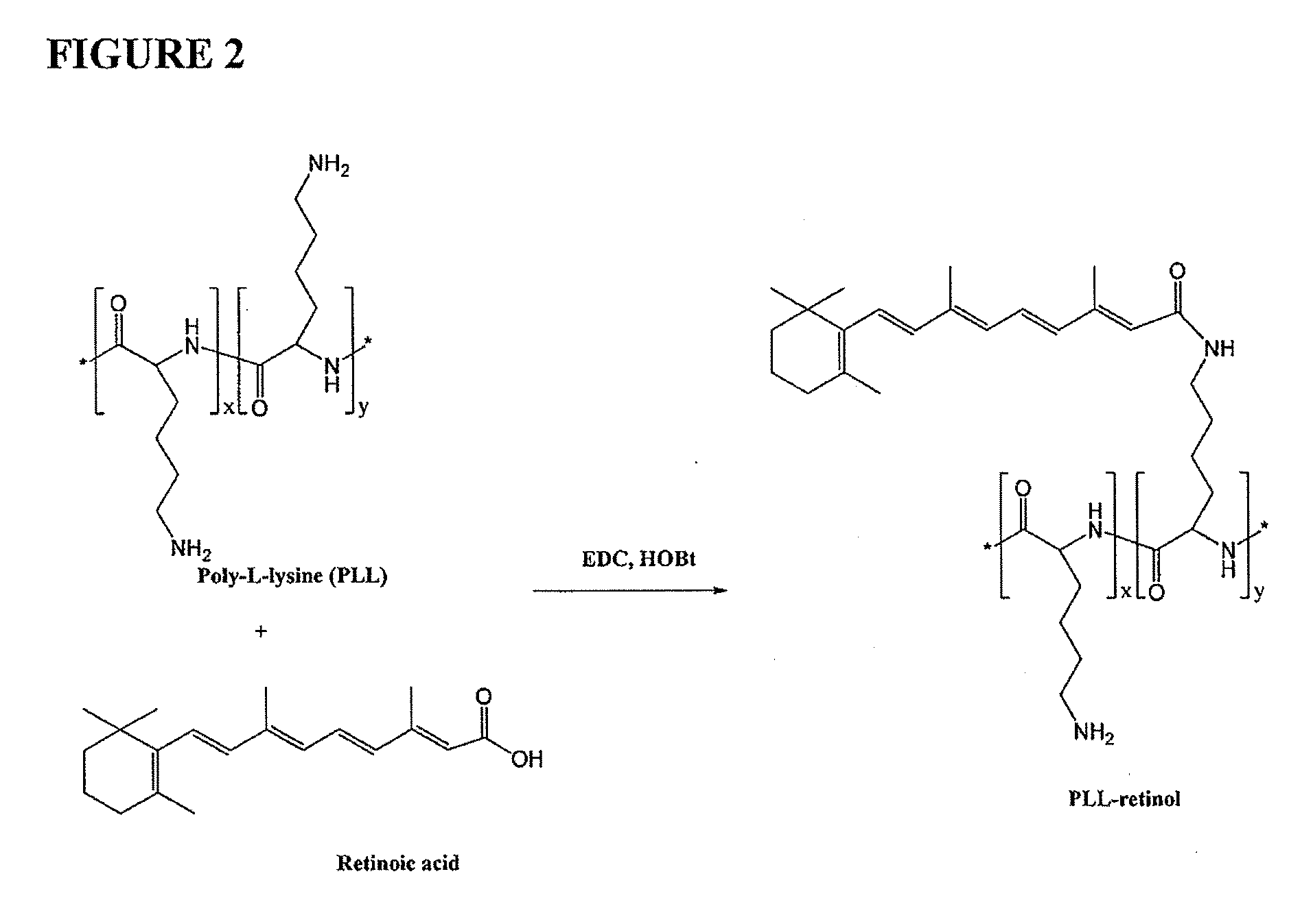 Drug carriers