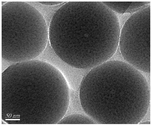 Preparation method and application of molecularly imprinted fluorescent sensor based on N-CQDs