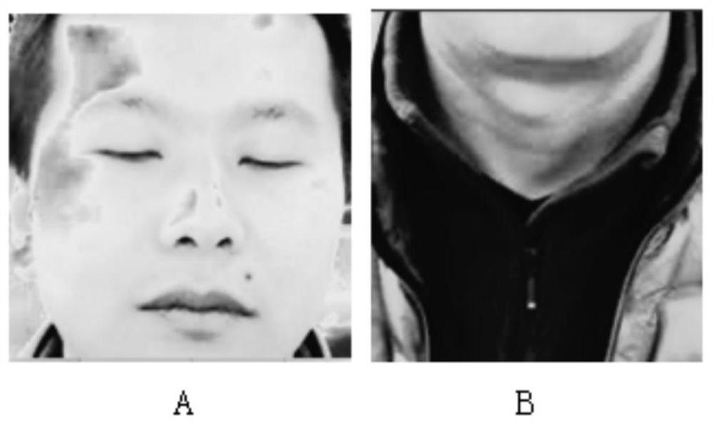 Non-interactive monocular living body detection method