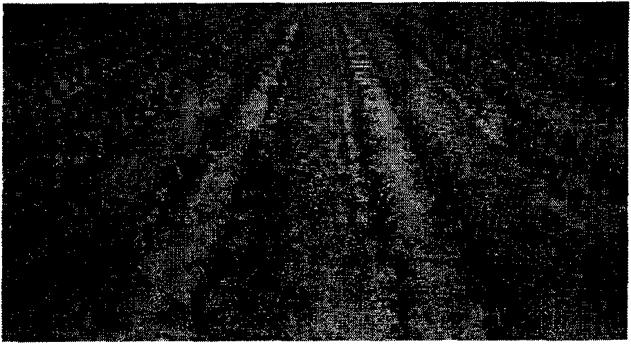 Method for planting corn in staggered large and small rows in two seasons