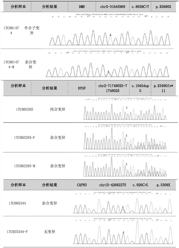 Kit for detecting single gene mutations of 50 hereditary diseases, and probe group used by kit