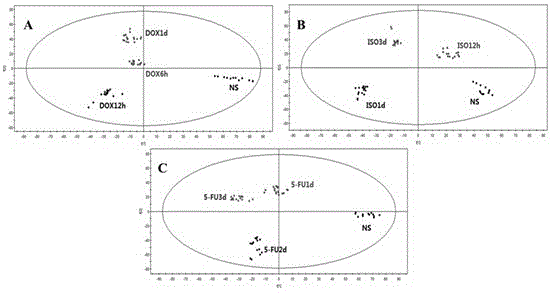 Application of endogenous small molecule substances in rapid detection of early cardiotoxicity