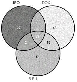 Application of endogenous small molecule substances in rapid detection of early cardiotoxicity