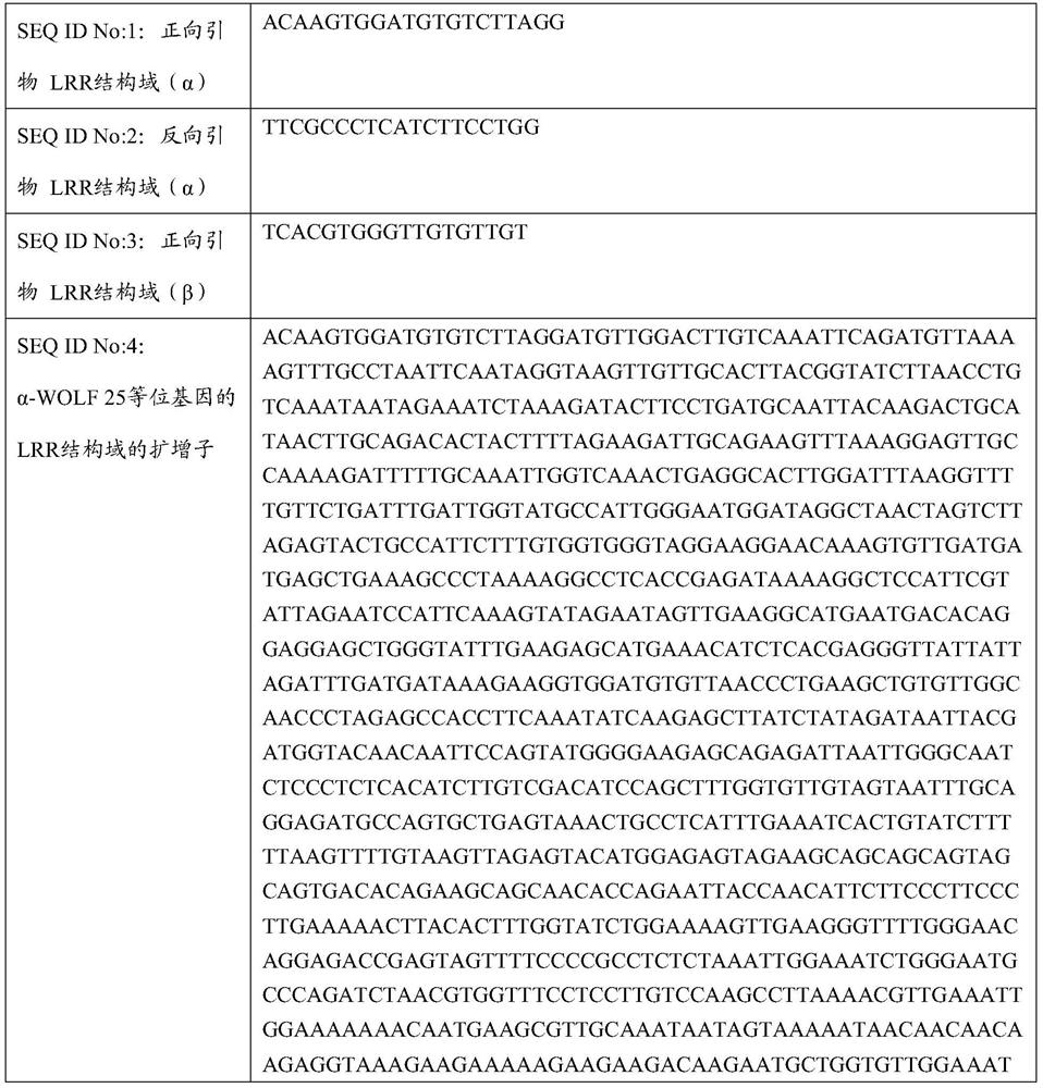 Peronospora resistance in spinacia oleracea