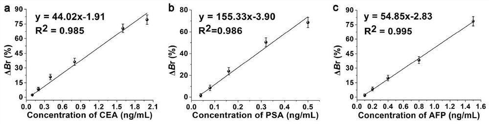 Liquid crystal biosensor capable of simultaneously detecting multiple cancer markers and preparation and detection method of liquid crystal biosensor