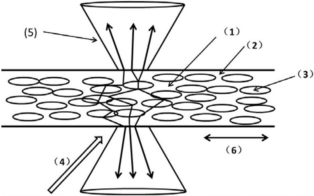 Flexible film random laser device adjustable in polarization degree and preparation method thereof