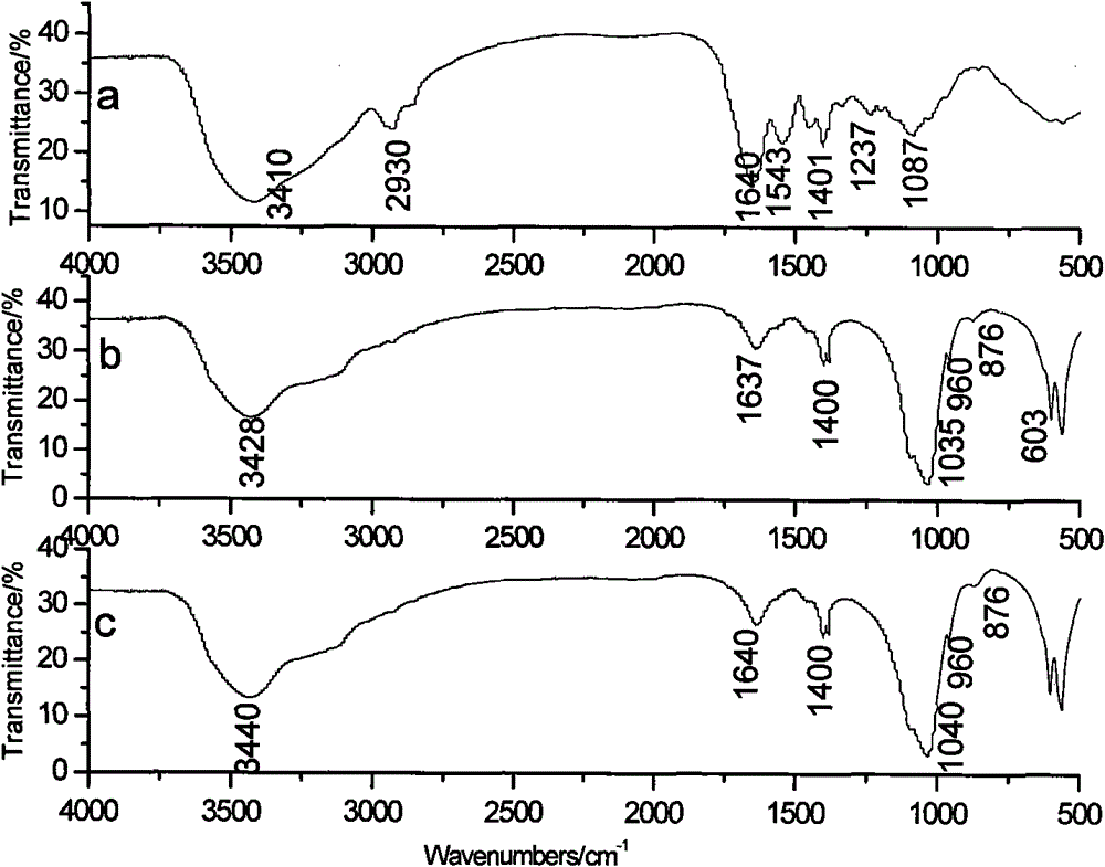 Method for preparing bone tissue repairing material by using Arabic gum