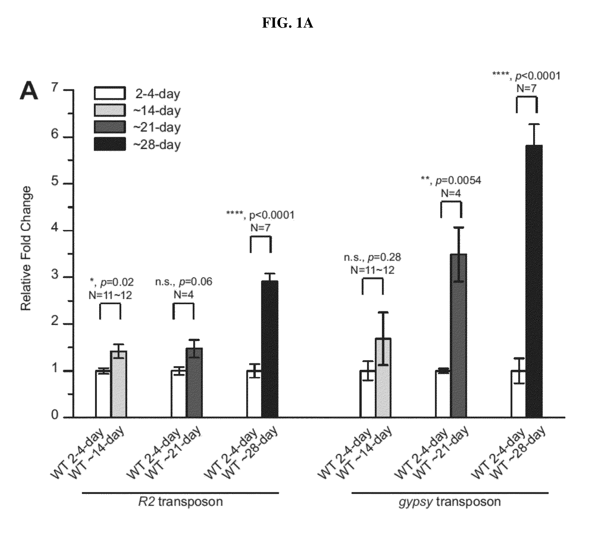 Transposon activation during aging and neuronal decline