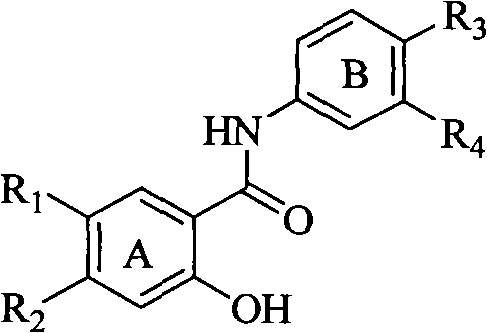 Salicyloyl anilines compound as well as preparation method and application thereof