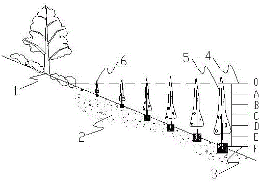 Tree planting method for terrestrial aquatic growth in weathered bedrock drawdown zone