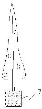 Tree planting method for terrestrial aquatic growth in weathered bedrock drawdown zone