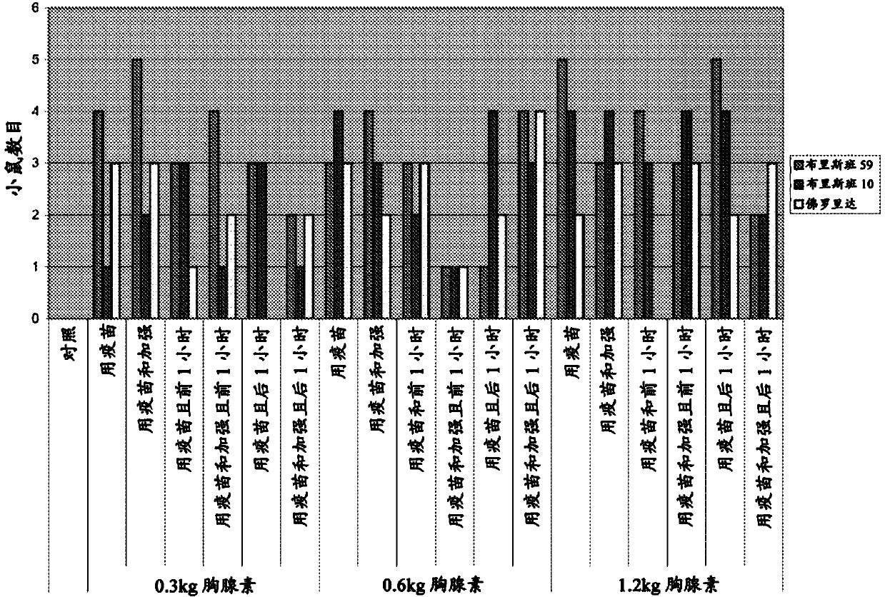 Thymosin alpha peptide for preventing, reducing the severity of, and treating infection