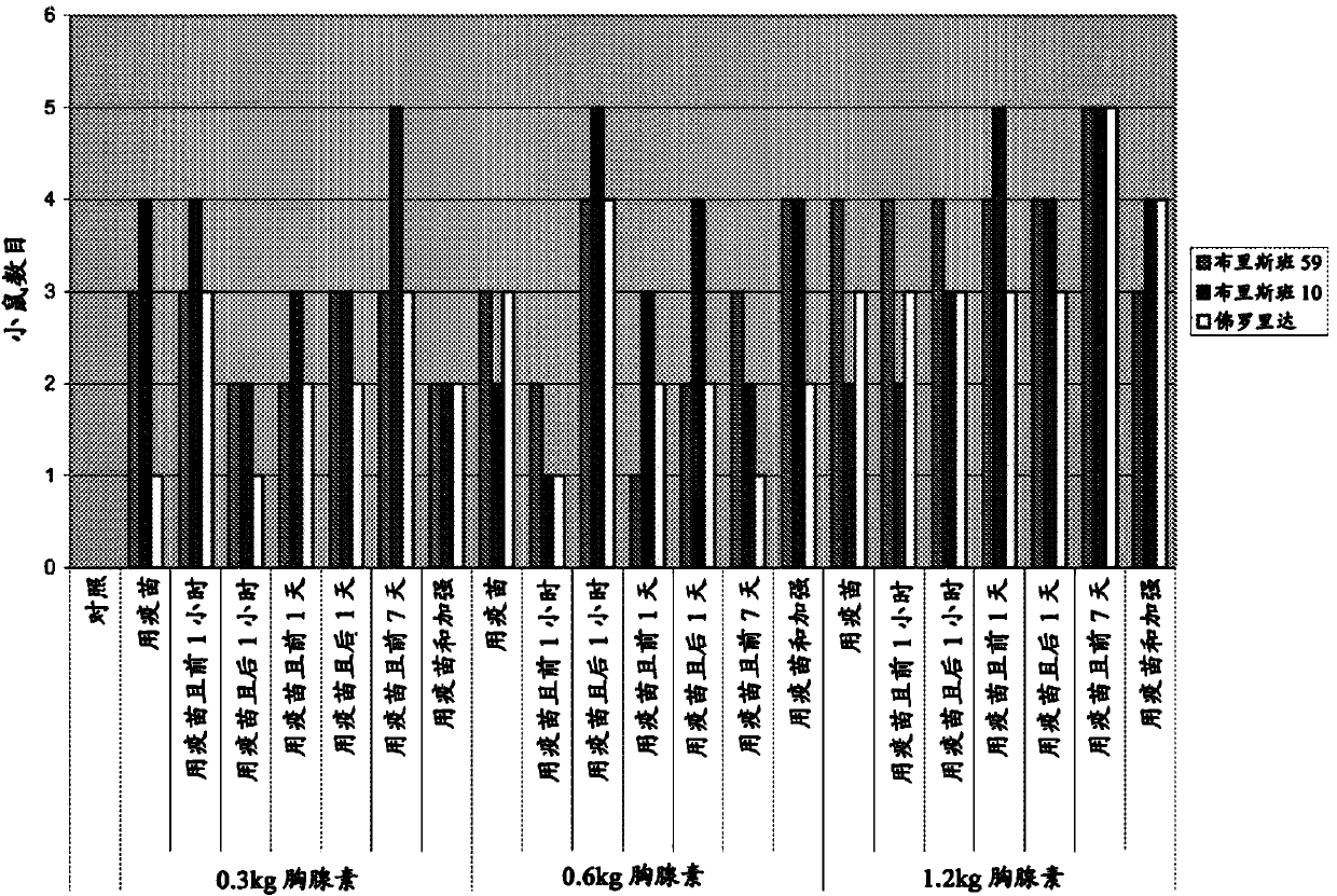 Thymosin alpha peptide for preventing, reducing the severity of, and treating infection