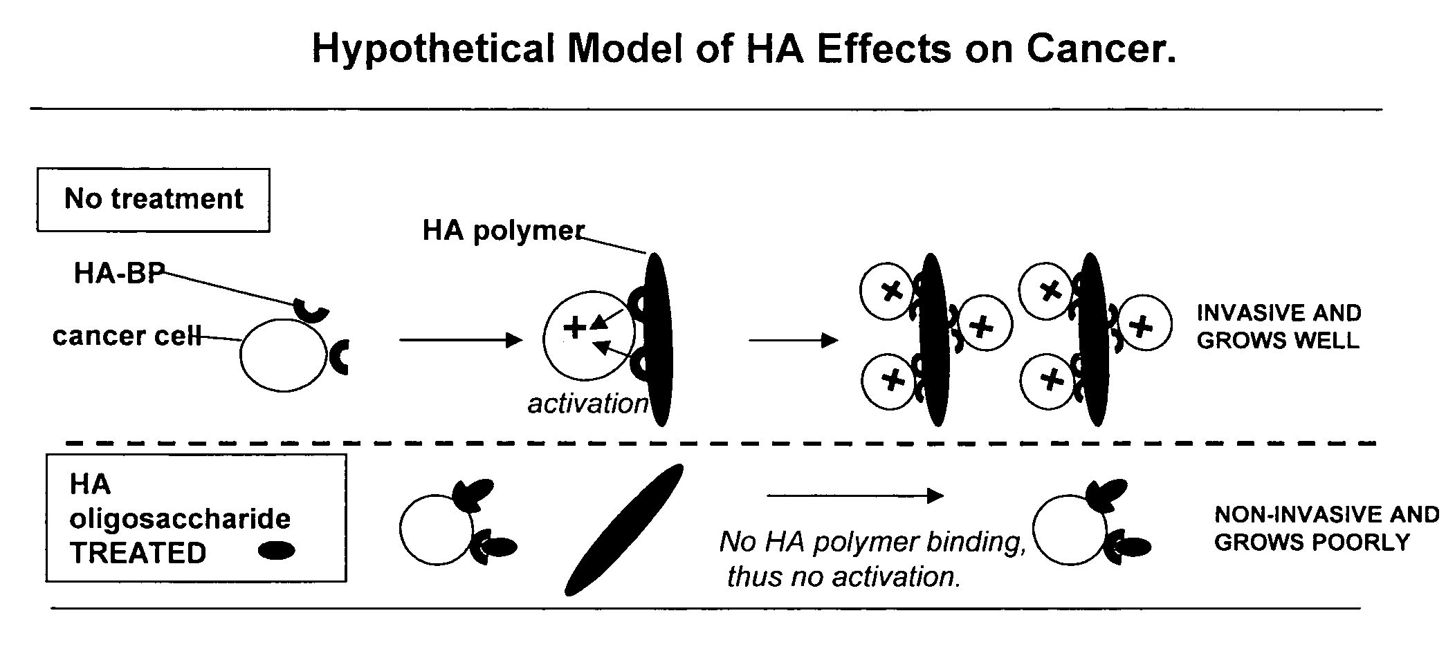 Methods of selectively treating diseases with specific glycosaminoglycan polymers