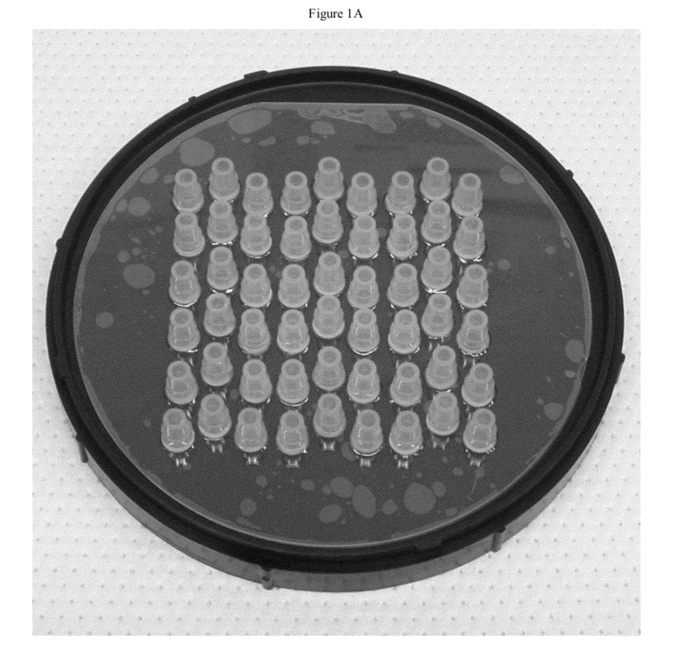 Device and Methods for Epigenetic Analysis