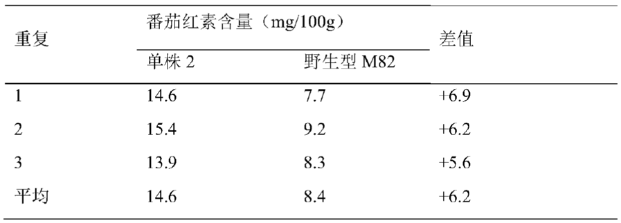 Method for making solanum lycopersicum materials having high fruit lycopene content