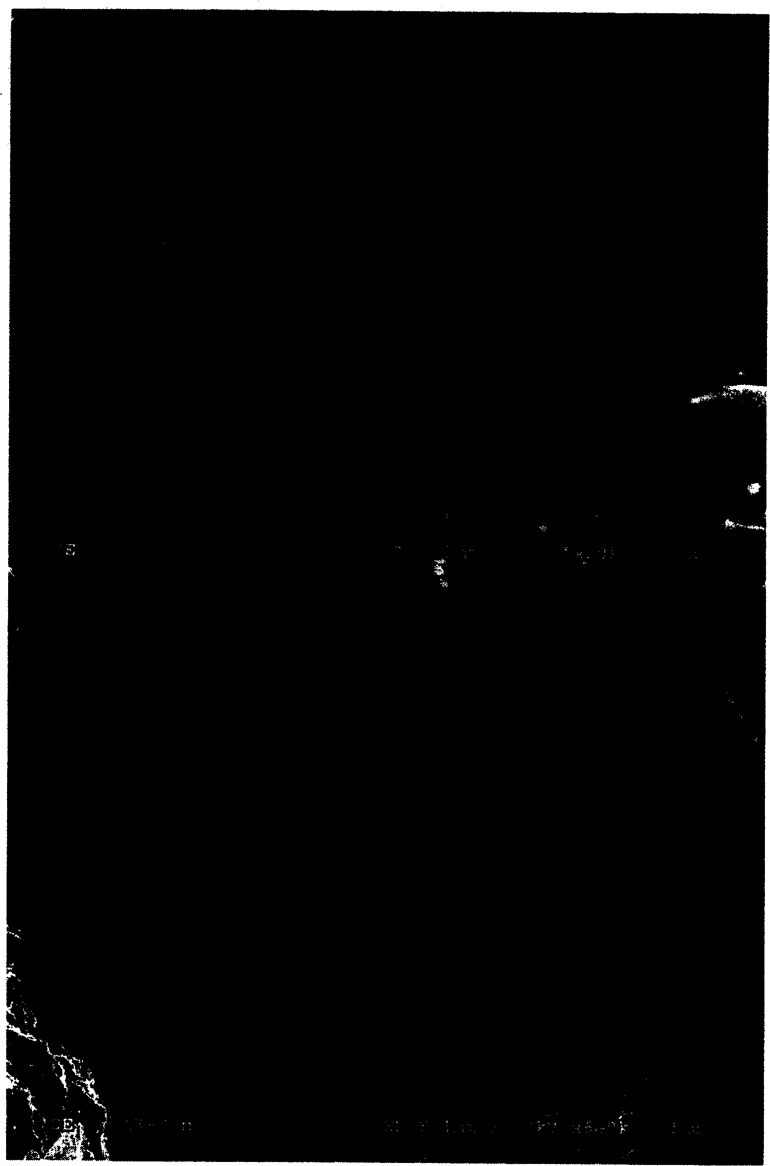 Promoter for solid electrolyte film of lithium cell