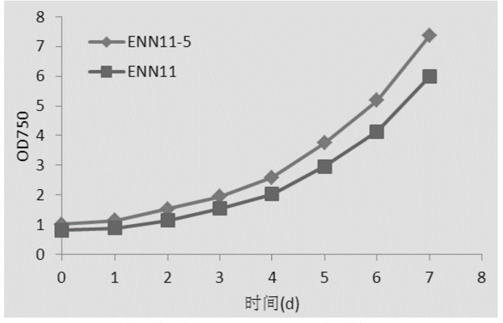 Nannochloropsis sp. mutant strain and applications thereof