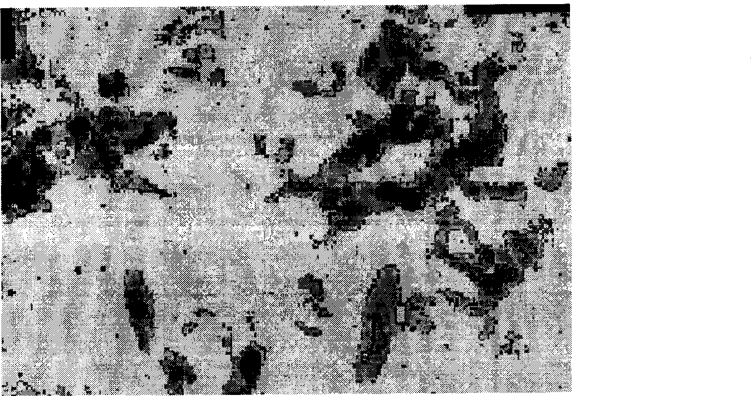 Reactive orange/ZnO nano composite material with nuclear shell structure and preparation method thereof