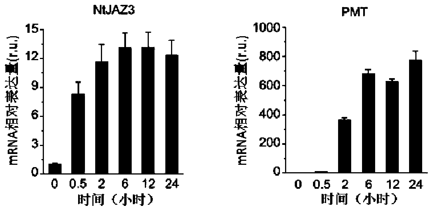 Gene capable of reducing nicotine content of tobacco and application thereof