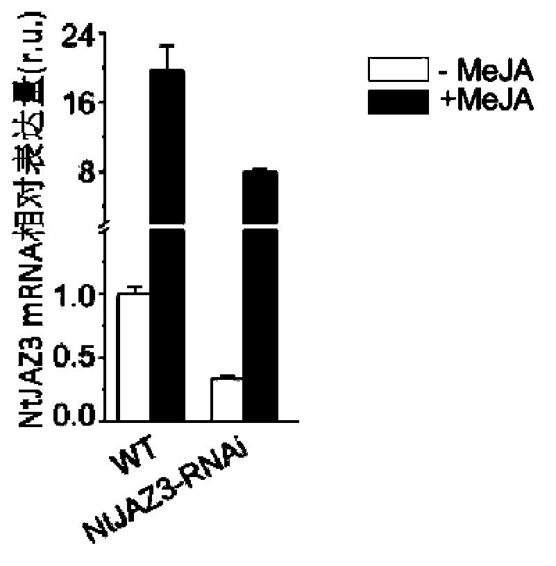 Gene capable of reducing nicotine content of tobacco and application thereof