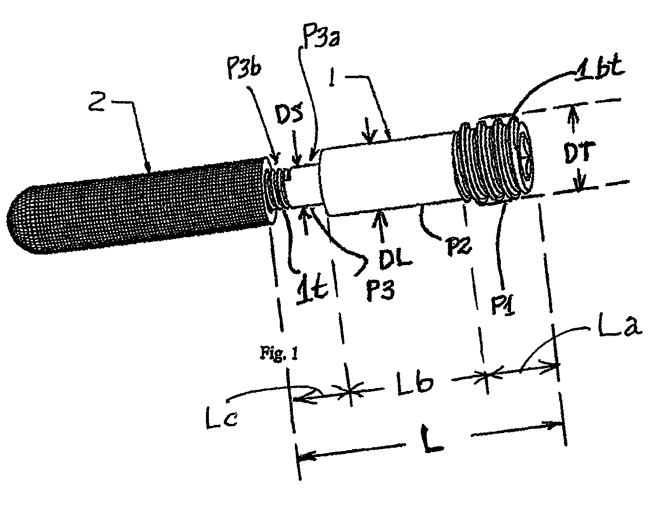 Metal bone supporter for necrosis of femoral head