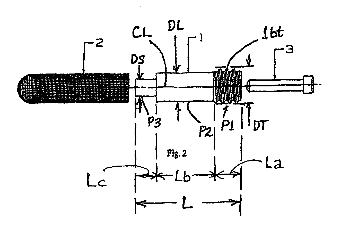 Metal bone supporter for necrosis of femoral head